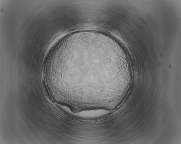 X0000084021415200703161728