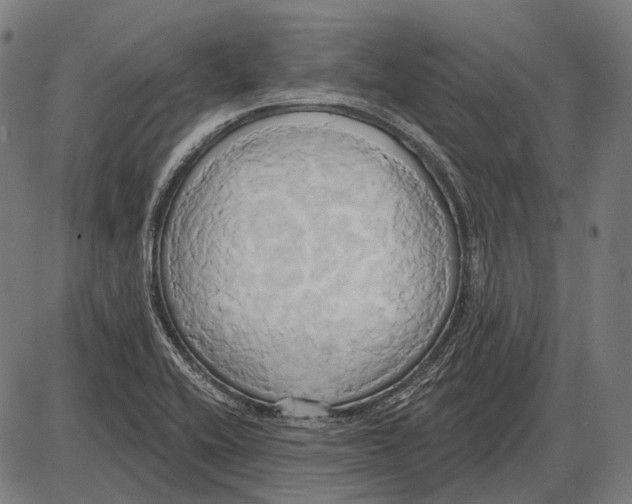 X0000084021416200703161728