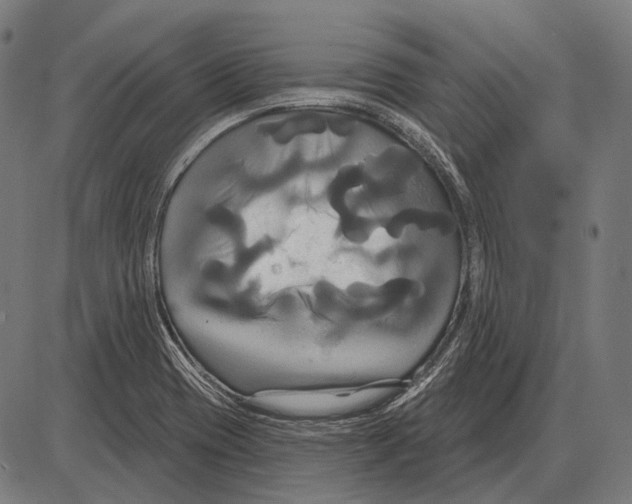 X0000084021417200703161728