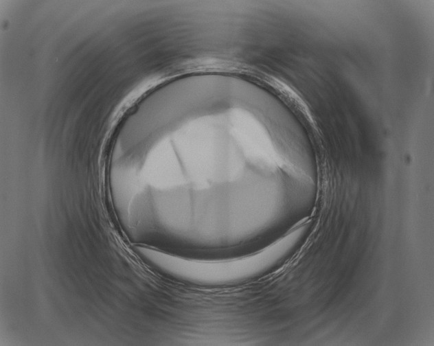 X0000084021419200703161728