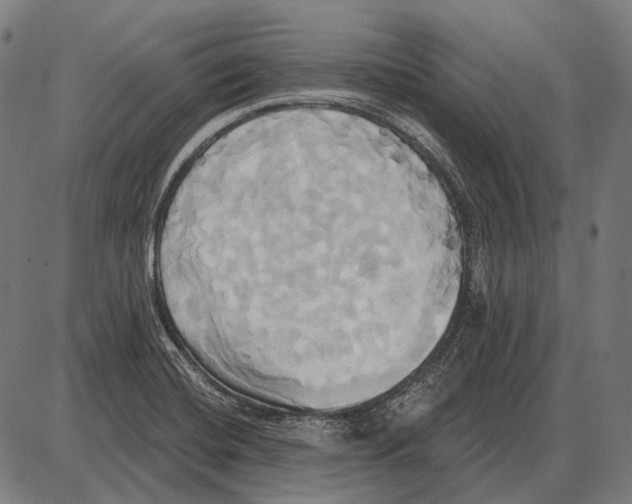 X0000084021420200703161728