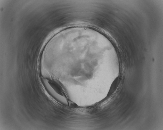 X0000084021421200703161728