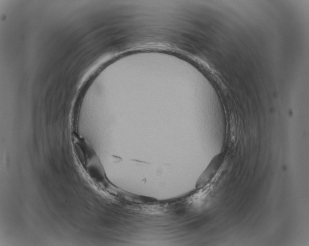 X0000084021422200703161728