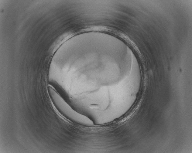 X0000084021425200703161728