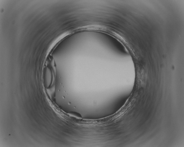 X0000084021426200703161728