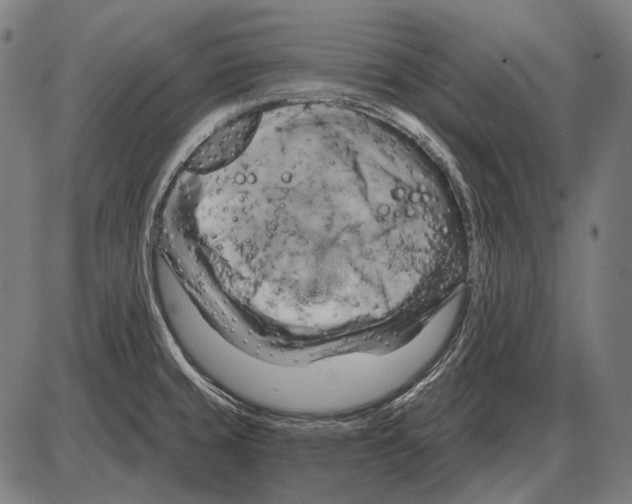 X0000084021429200703161728