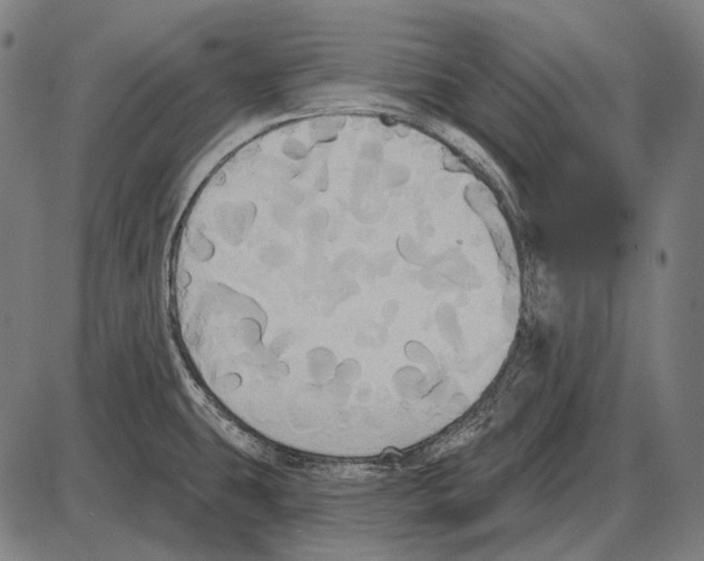 X0000084021431200703161728