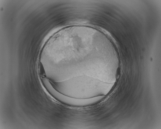 X0000084021432200703161728