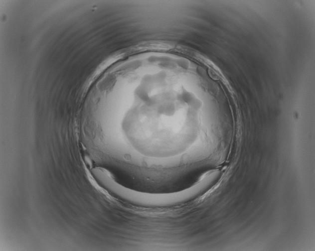 X0000084021433200703161728