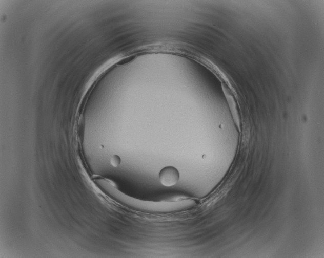 X0000084021434200703161728