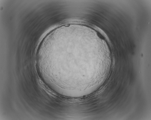 X0000084021435200703161728