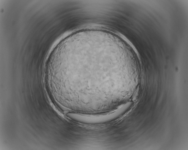 X0000084021437200703161728