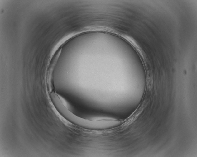 X0000084021438200703161728