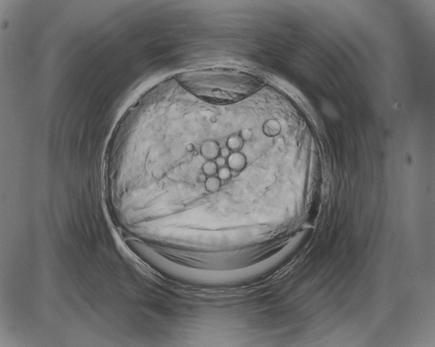 X0000084021439200703161728