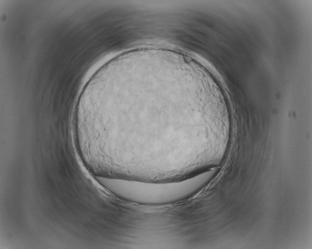 X0000084021440200703161728