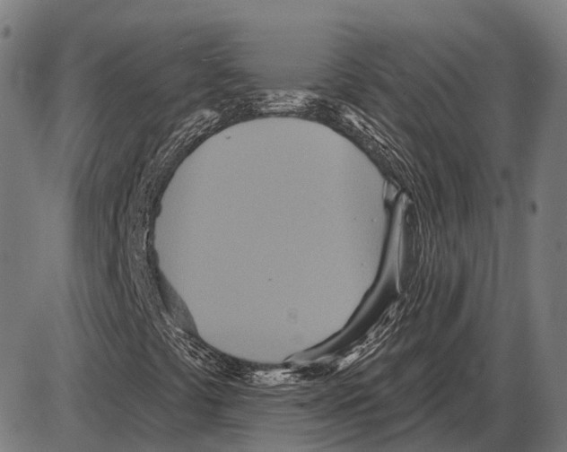 X0000084021441200703161727