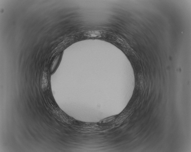 X0000084021442200703161727