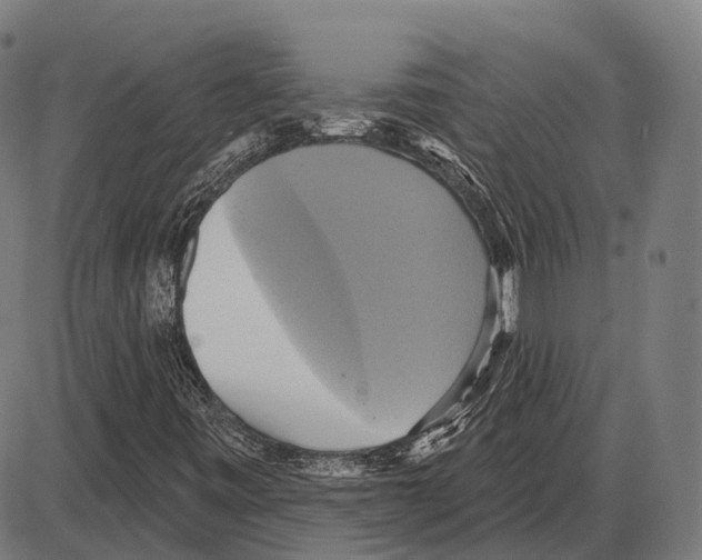 X0000084021443200703161727