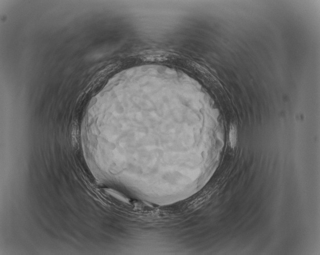 X0000084021444200703161727