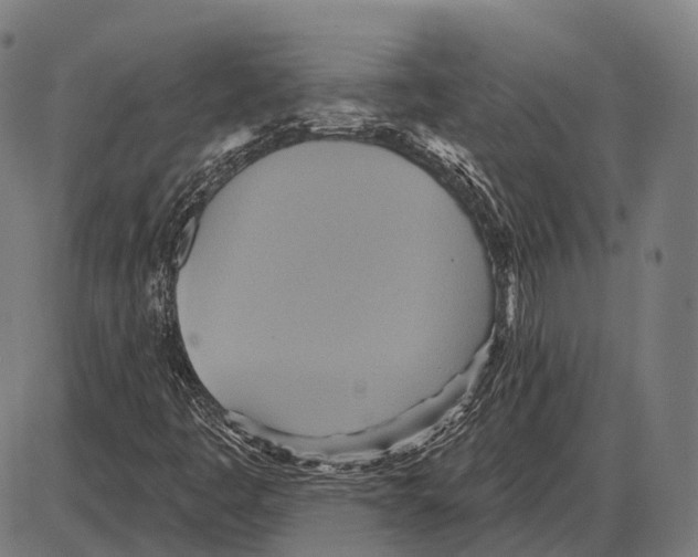 X0000084021445200703161727