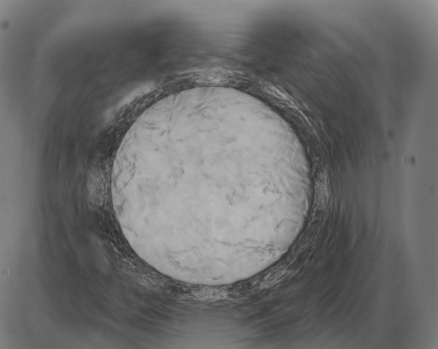 X0000084021446200703161727