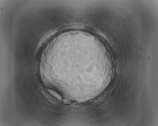 X0000084021448200703161727