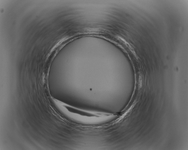 X0000084021449200703161727