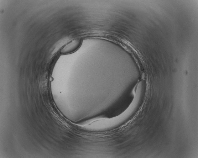 X0000084021450200703161727