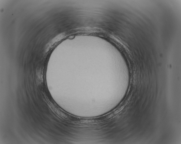 X0000084021451200703161727