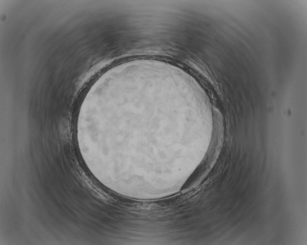 X0000084021452200703161727