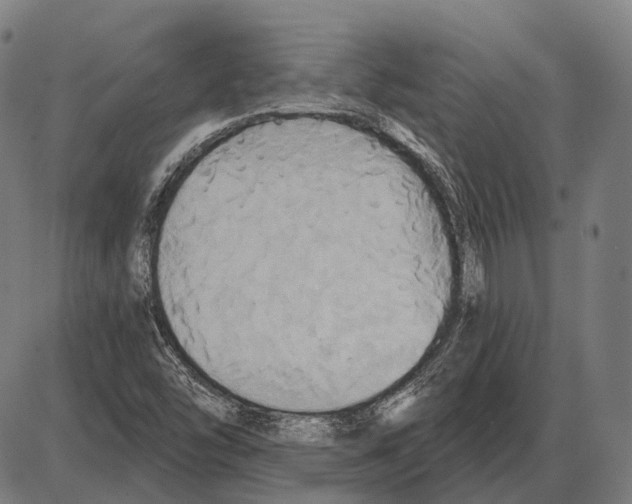 X0000084021454200703161727