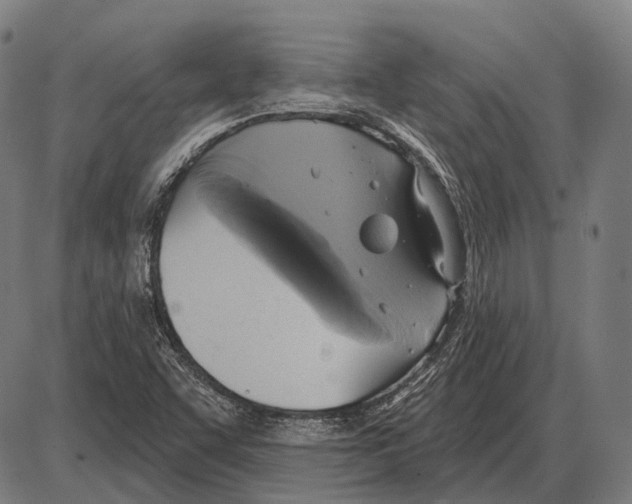 X0000084021455200703161727