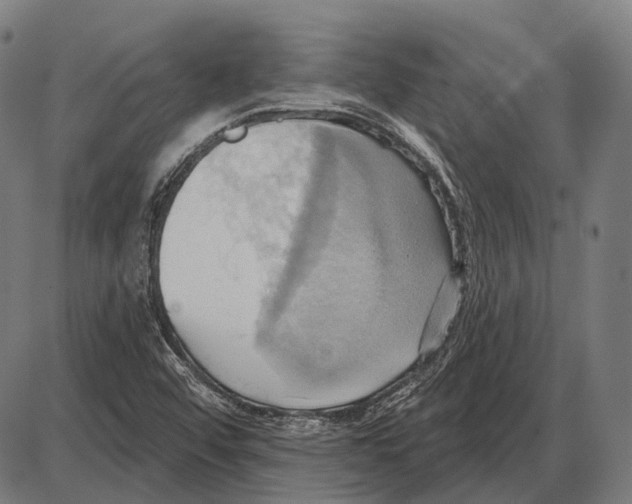 X0000084021456200703161727