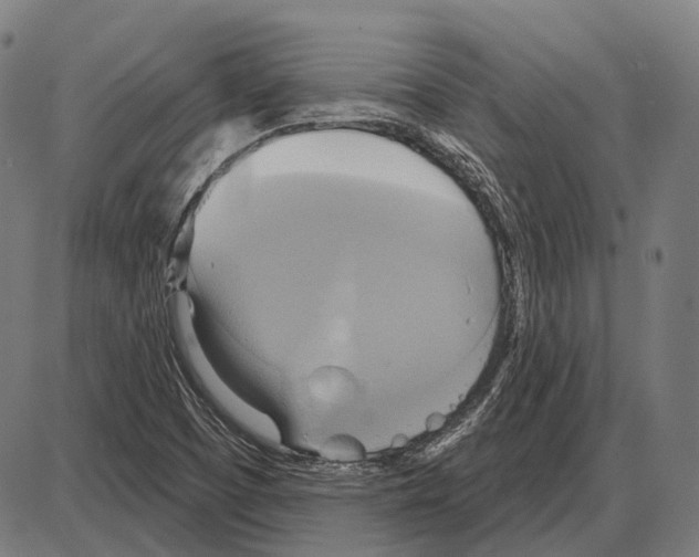 X0000084021457200703161727