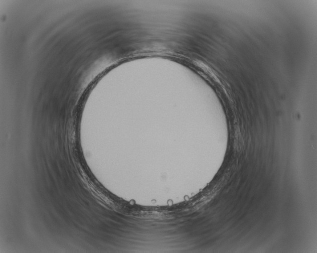 X0000084021458200703161727