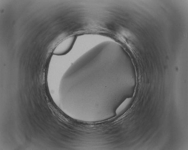 X0000084021459200703161727