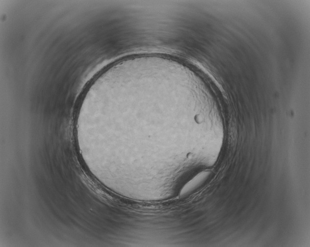 X0000084021460200703161727