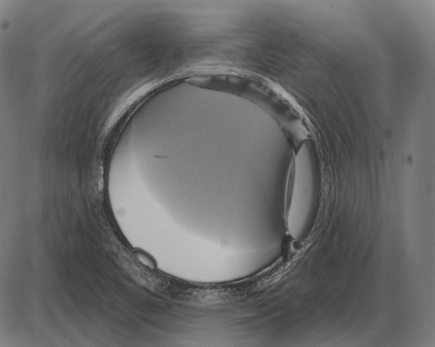 X0000084021461200703161727