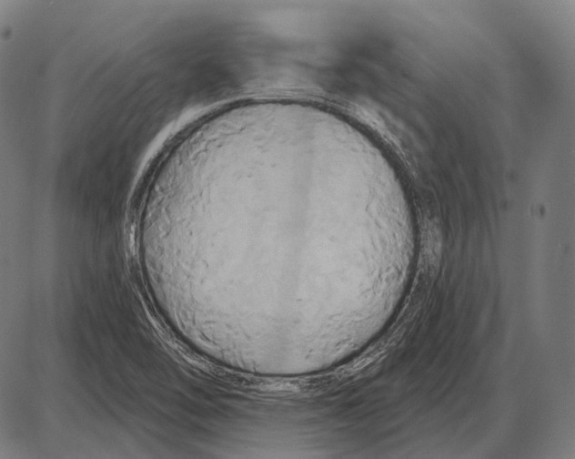 X0000084021462200703161727