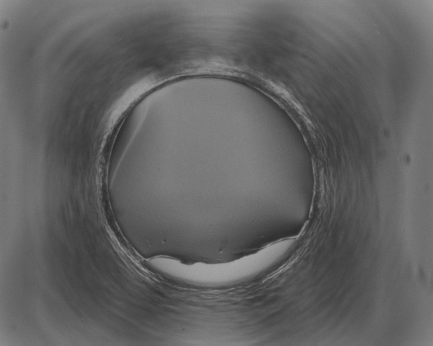 X0000084021463200703161727