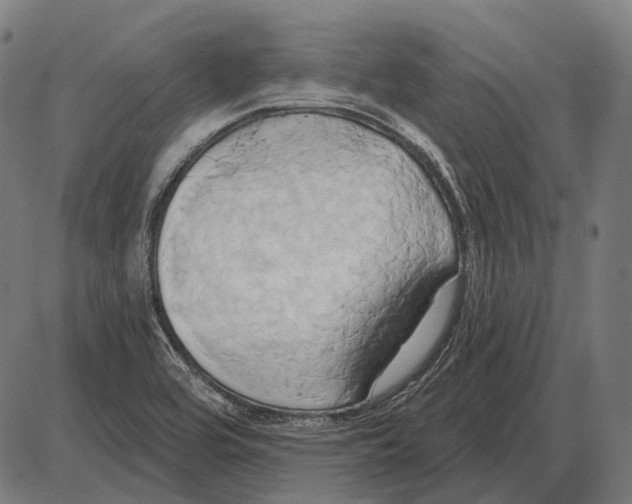 X0000084021464200703161727