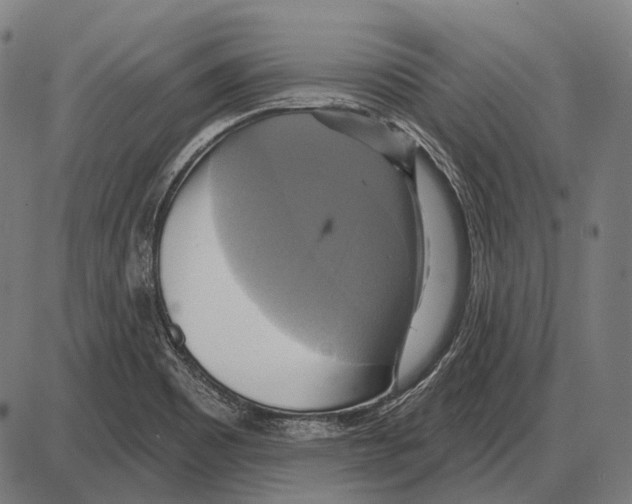 X0000084021465200703161727