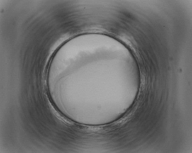 X0000084021466200703161727