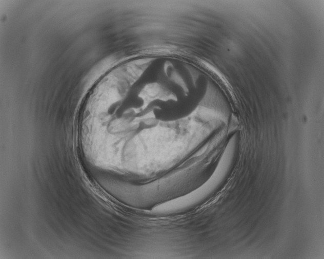 X0000084021467200703161727