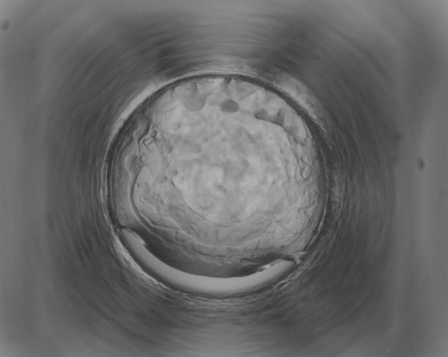 X0000084021468200703161727