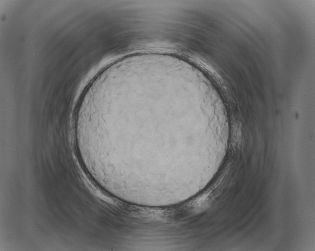 X0000084021470200703161727