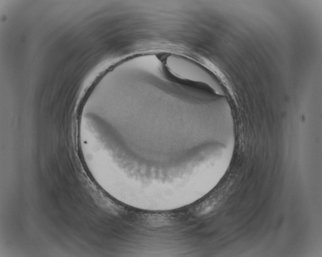 X0000084021472200703161727