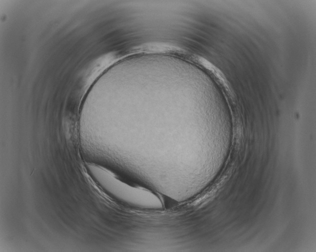 X0000084021473200703161727