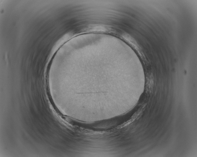 X0000084021475200703161727