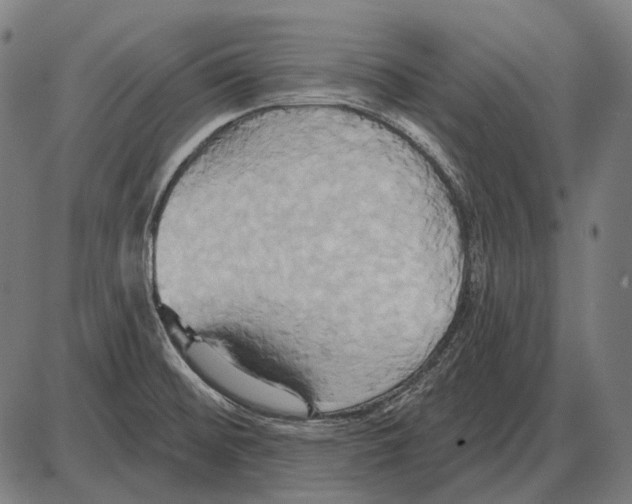 X0000084021476200703161727